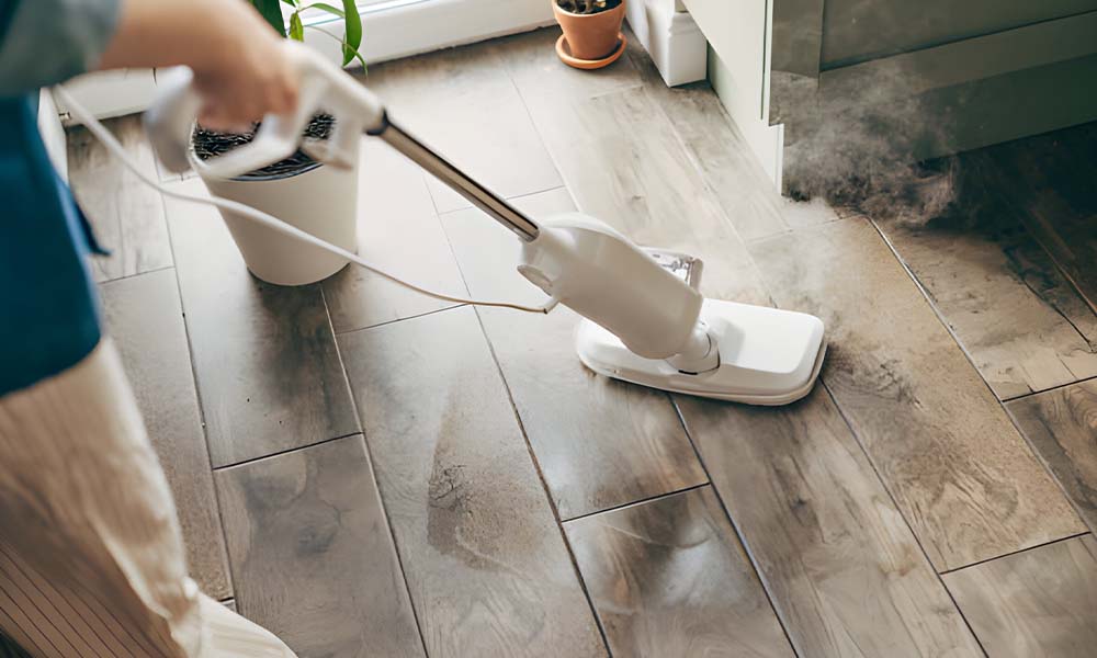 Steam Mop