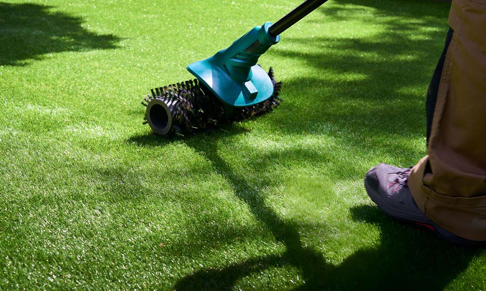 Turf Cleaning