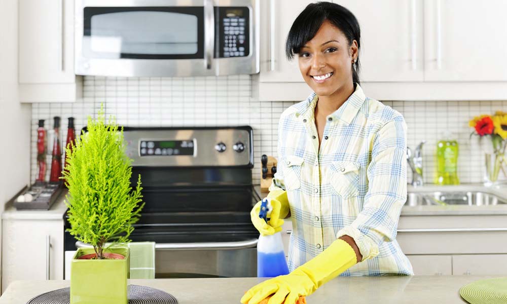 Professional Kitchen Cleaning